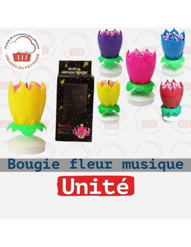 BOUGIE FLEUR MUSIQUE