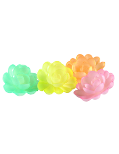 ROSE AZYME GM ASS AERO