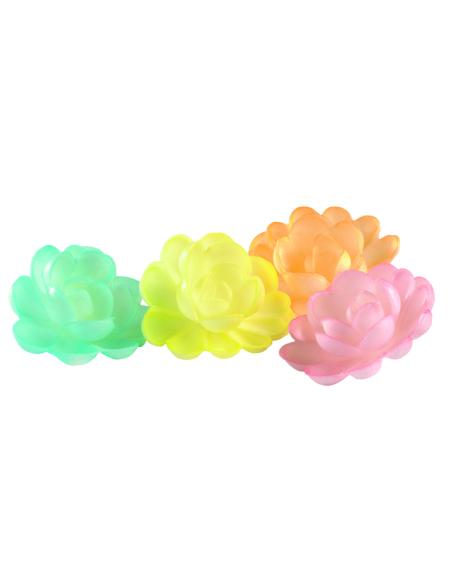 ROSE AZYME GM ASS AERO