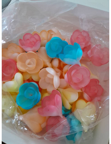 ROSE AZYME MM ASSORTIE AERO