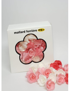 PQ72 ROSE AZYME MM ASSORTIES-PACKNATPS