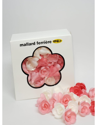 PQ72 ROSE AZYME MM ASSORTIES-PACKNATPS