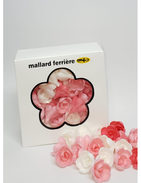 PQ72 ROSE AZYME MM ASSORTIES-PACKNATPS