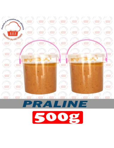 500G PRALINE NOISETTE-PACKNATPS