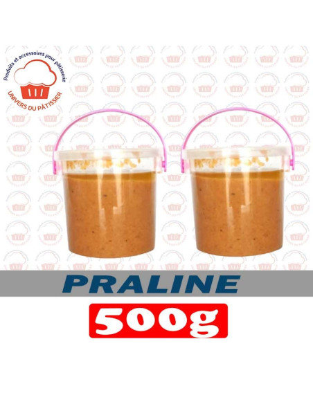 500G PRALINE NOISETTE-PACKNATPS