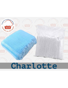 CT20 CHARLOTTE-PACKNATPS