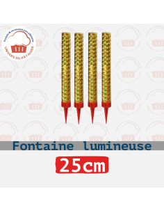 PQ6 25CM FONTAINE LUMINEUSE 25CM-PACKNATPS