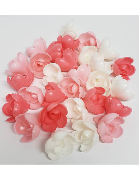 ROSE AZYME PM ASSORTIE