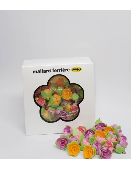 ROSE AZYME COROLLE TENDRE ET VIVE