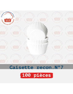 P100 CAISSETTE REC N7